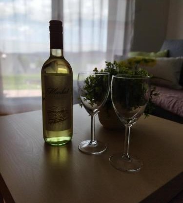 Apartmán u Šedů
