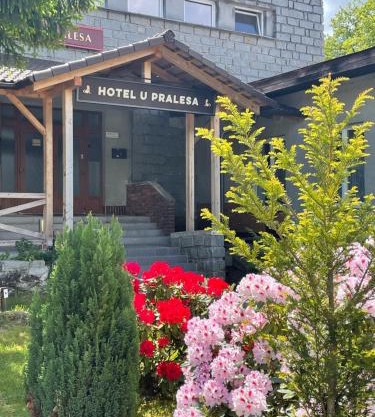 Apartmány IMLADRIS, Hotel u pralesa