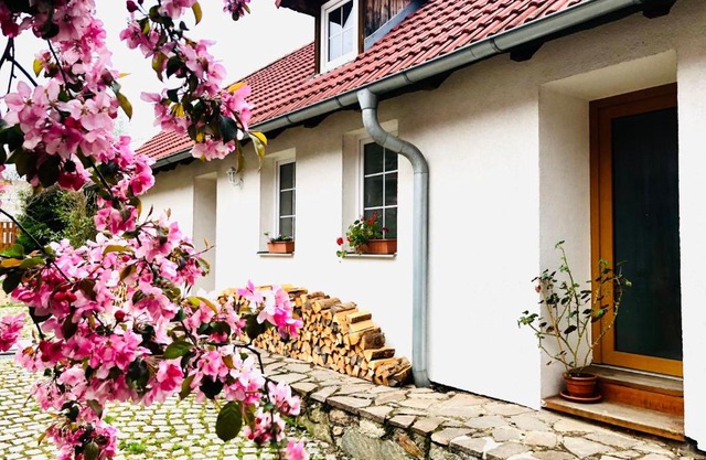 Apartmány Jílovice