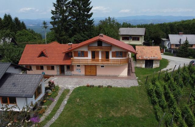 Apartma Vid with a wonderful view.