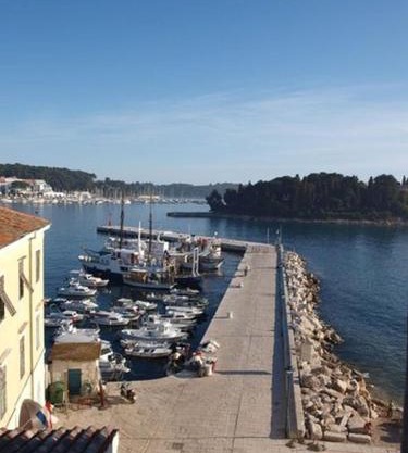 Apartman 14
