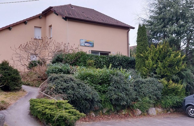 Apartment 800 m lake Xonrupt Longemer, greenery, terrace, pétanque court