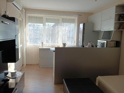 Apartment Andri