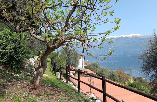 Apartment 'Blu' with Lake View, Shared Terrace and Wi-Fi