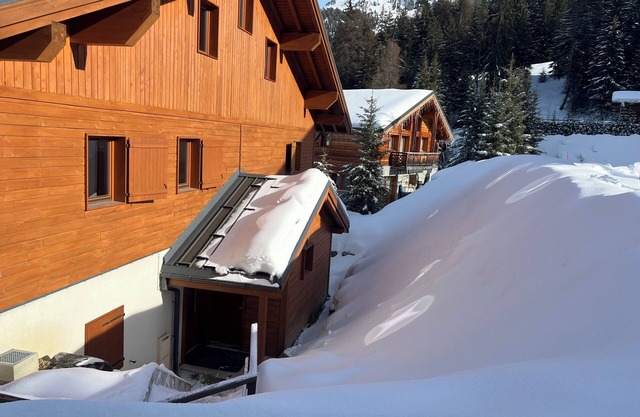 Apartment rental in chalet La Plagne