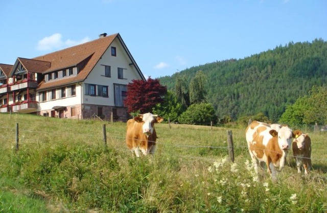 Apartment Freyenhöfe in Baiersbronn - 2 persons, 1 bedrooms