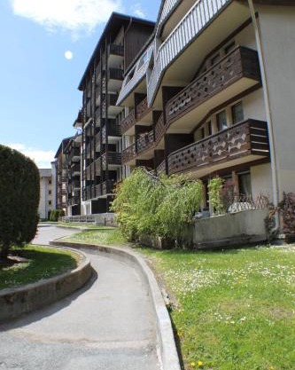 Apartment Grepon 2 - A Chamonix Alpine Haven