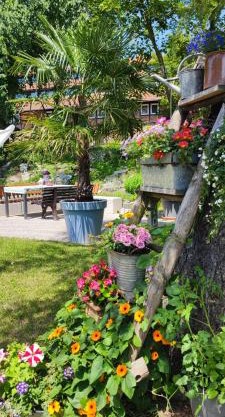 Apartment im Grünen mit Anbindung ans Zentrum