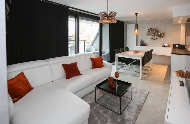 Apartment in Belgium with Sunny Terrace