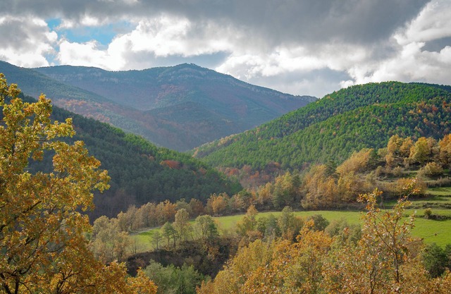 Apartment in Gombrèn Girona with Nature Views
