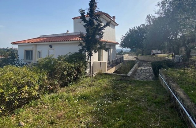 Apartment in olive grove with large garden area, 5 km to the sea