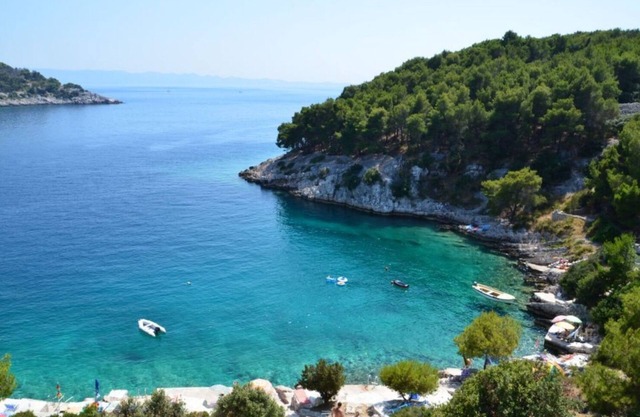 Apartment Ivano - 20 m from Sea: A3(2+1) - Cove Osibova (Milna), Island Brac, Croatia