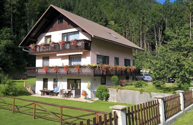 Apartment Mertelj with 2 bedrooms, with the terrace