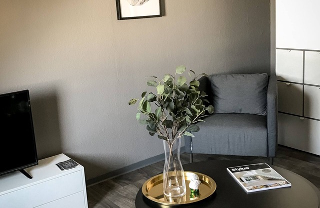 Apartment Pureney- Stadtmitte- Whg. 5