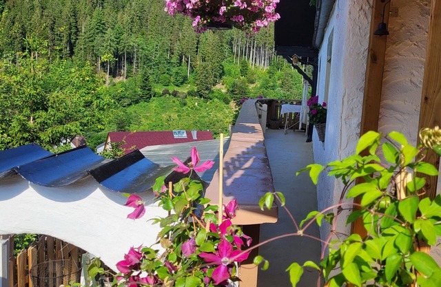 Apartment 'Schwarzwaldglück' with Mountain View, Shared Terrace and Wi-Fi