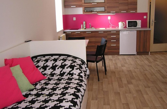 Apartment Třeboň