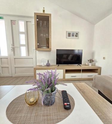 Apartment VIP