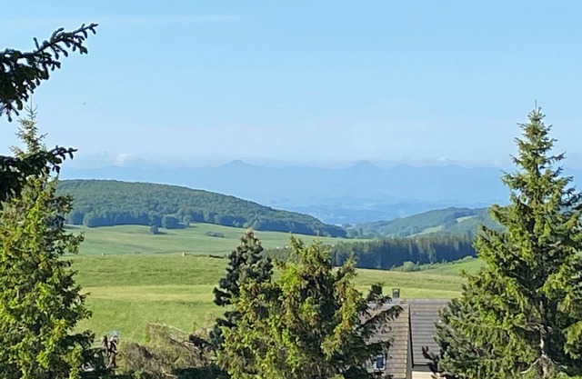 Apartment with terrace and pool near nature in Super-Besse