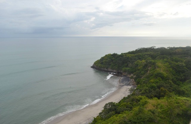 El Palmar Residences 