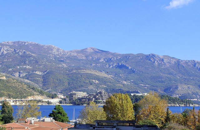 Apartments Ivanović (92981-A2) - Budva