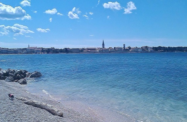 Apartments Marko, (13101), Porec, hr