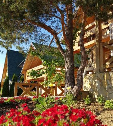 API komora Zlatibor