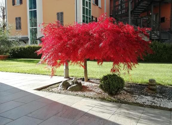 APPARTAMENTO ACERO - 2 min walk to Bernina Express