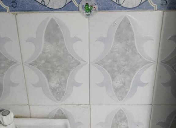 appartement partagé à coté hammam narjiss