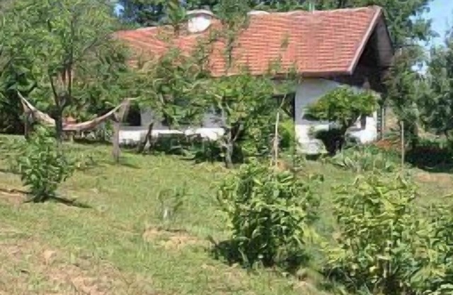 Apple Tree Cottage (6+2) located in a private garden with an orchard