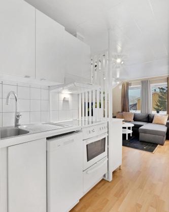 Arctic basements queensize beds