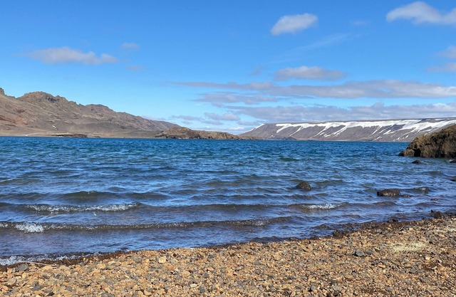 Arctic Wind