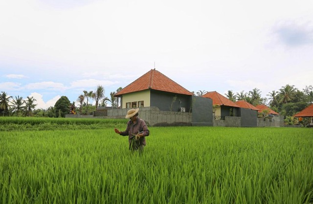 Asri Sari Ubud Resort