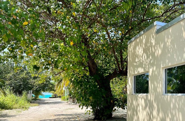 Athiri Inn Kelaa