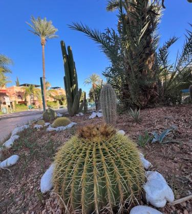 Atlas Golf Resort