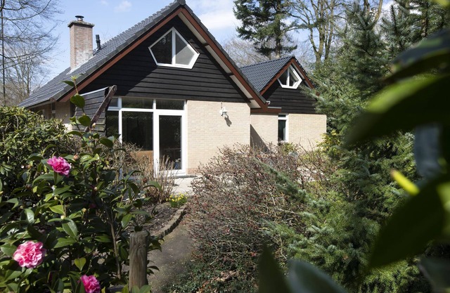 Atmospheric house with a fireplace in a holiday park in the woods