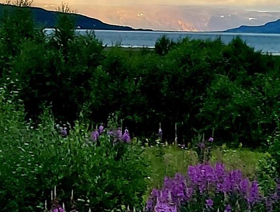 Austertanakrystallen by Pure Lifestyle Arctic