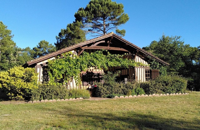 Authentic vast 1850 Landes farmhouse in the heart of the forest with no neighbors 30 p