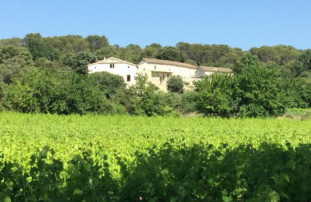 Bâtisse au Sein d un mas Provençal vue Imprenable