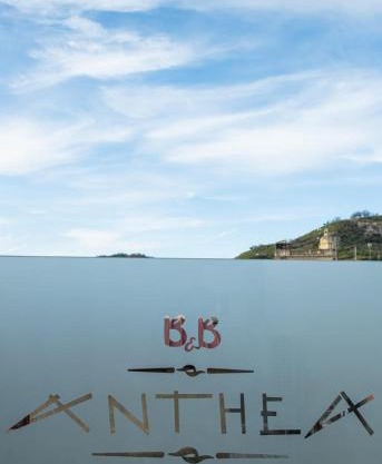 B&B Anthea