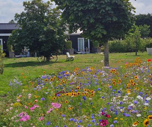 B&B Buutegeweun