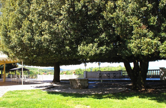 B&B Il Leccio Subiaco exclusive residence a stone's throw from Rome