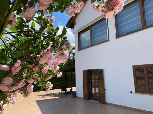 BaCar b&b