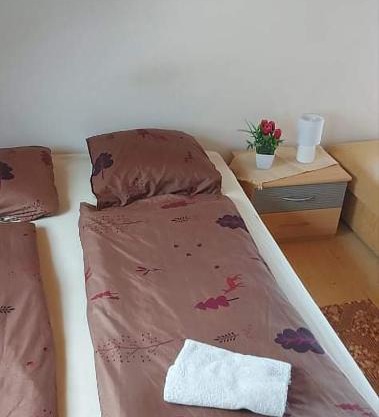 Badacsonyi privát bérlemény