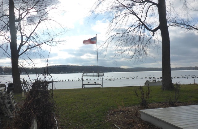 Baseline Lakefront - Beautiful views, shallow swimming area - Huron chain with 7 lakes