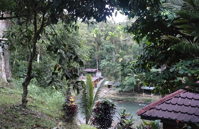 Batu Katak Gibbon guesthouse