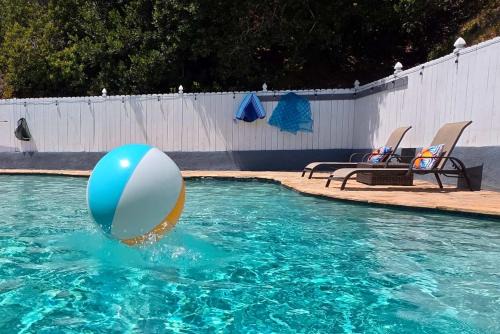 Bay Park - Pool - Vibrant - Backyard