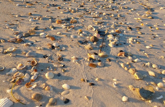 Beach Dreams! Recently Remodeled 2 BR/2 BA sleeps (6) Non-smoking, no Pets.