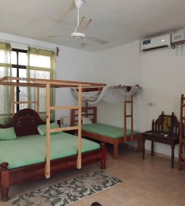 Beach House apartments nungwi