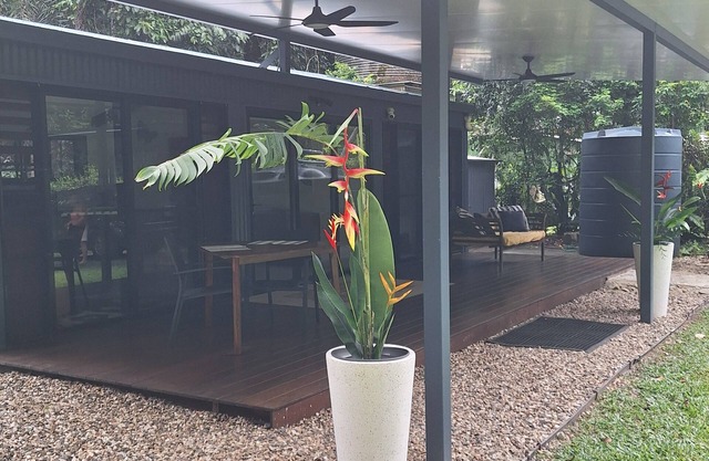 beach over road, rainforest, cassowary, goanna , beach cafe, king bed , air con