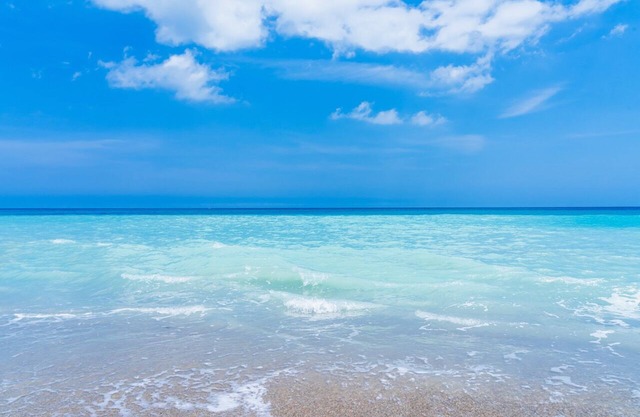 Beach Paradise! New 3/2 home, dog friendly, overlooking wildlife refuge!
